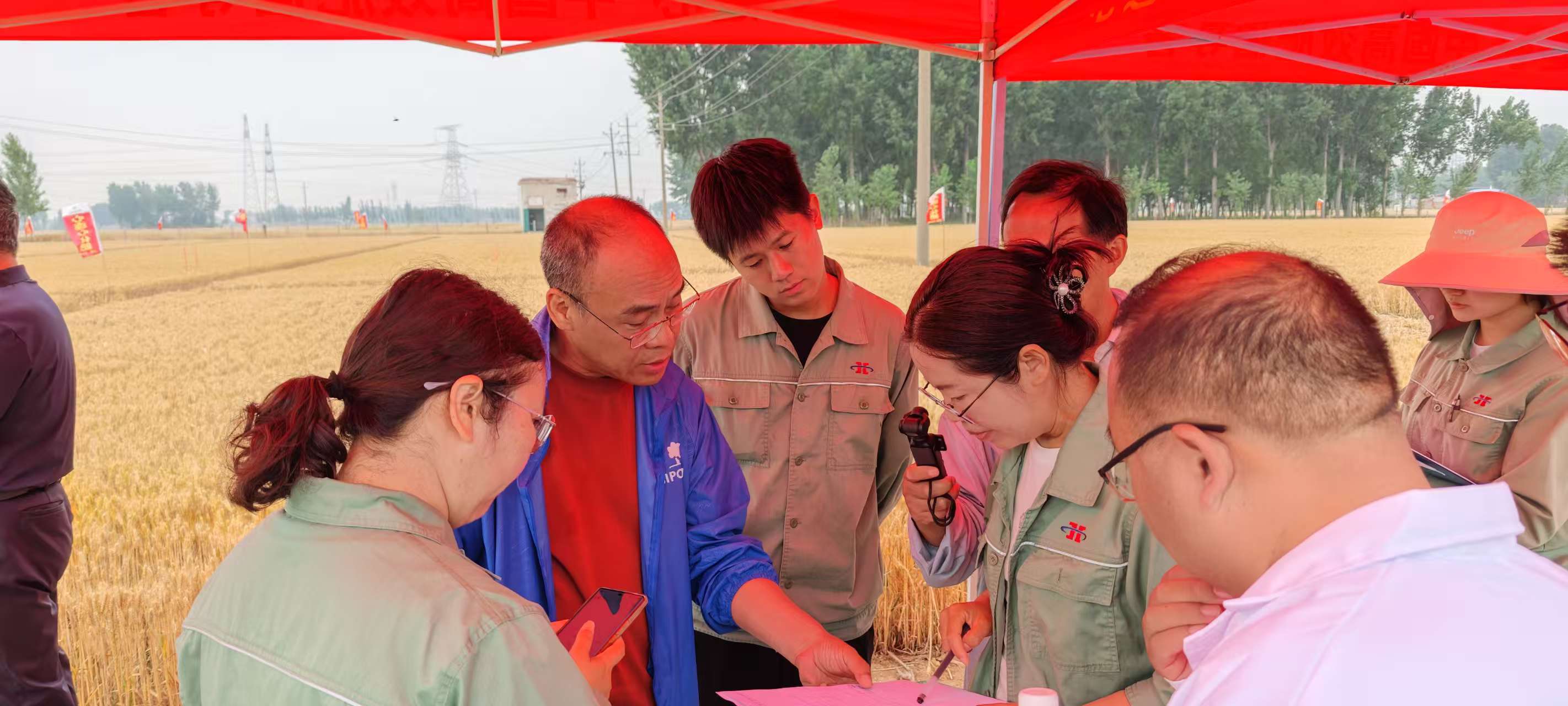 ���º����¿Ƽ�����ũҵ�����Ϲ����|�����������ֵ�������ʮ���塱���⽻������Ч����