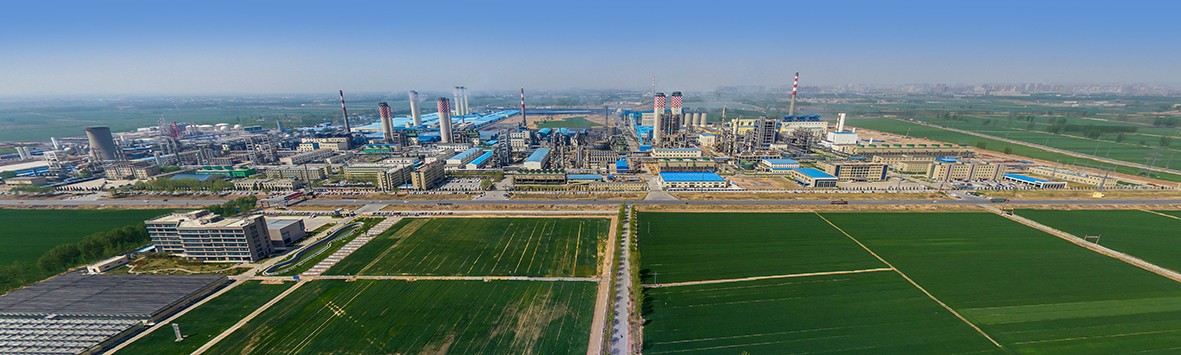 �����Ϲ����|������˲�䡿���Ϲ����|������ѧ��ҵ���Ž���50����������ߣ�