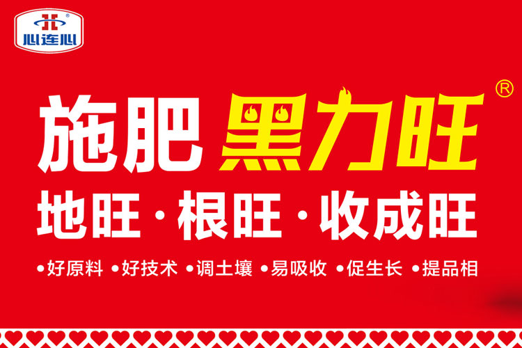 ���Ϲ����|����