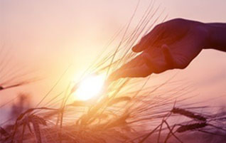 ���Ϲ����|����