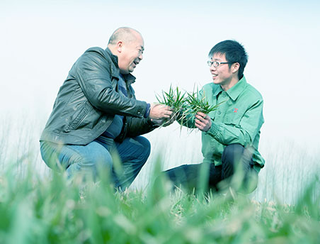 ���Ϲ����|����