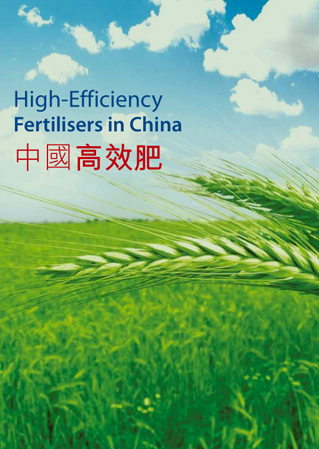 ���Ϲ����|����