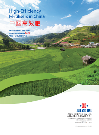 ���Ϲ����|����