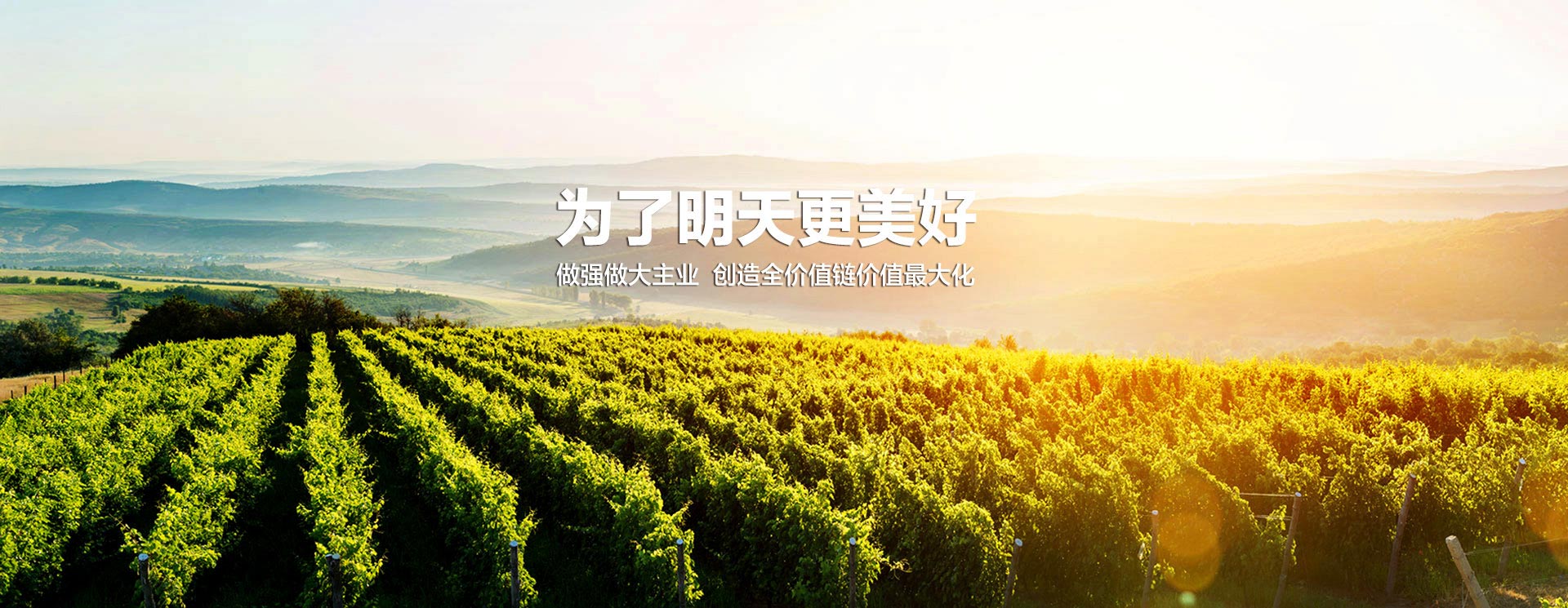 ���Ϲ����|����