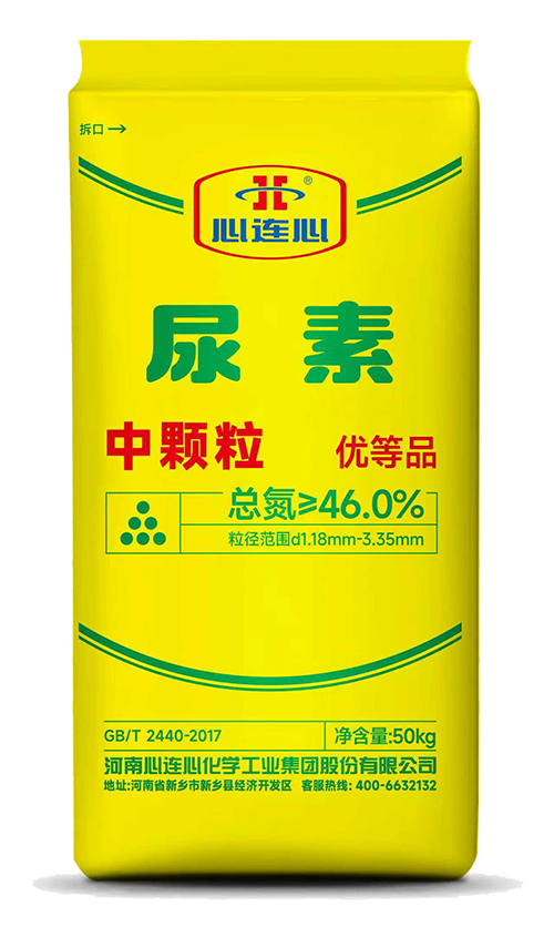 ���Ϲ����|����