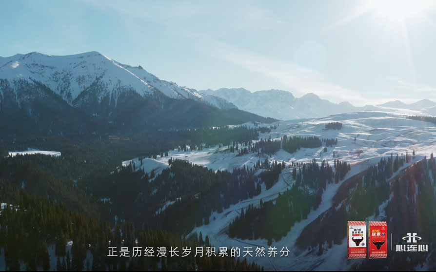 ���Ϲ����|����