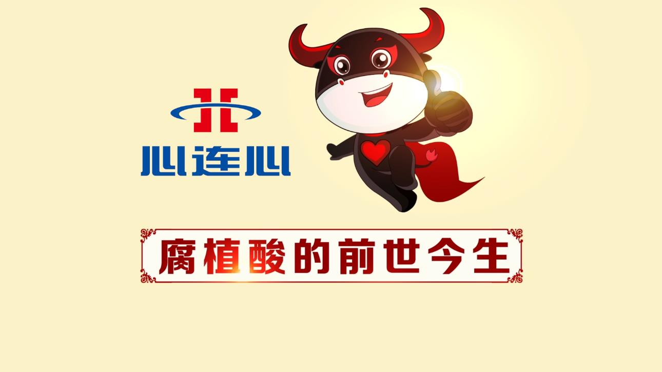 ���Ϲ����|����