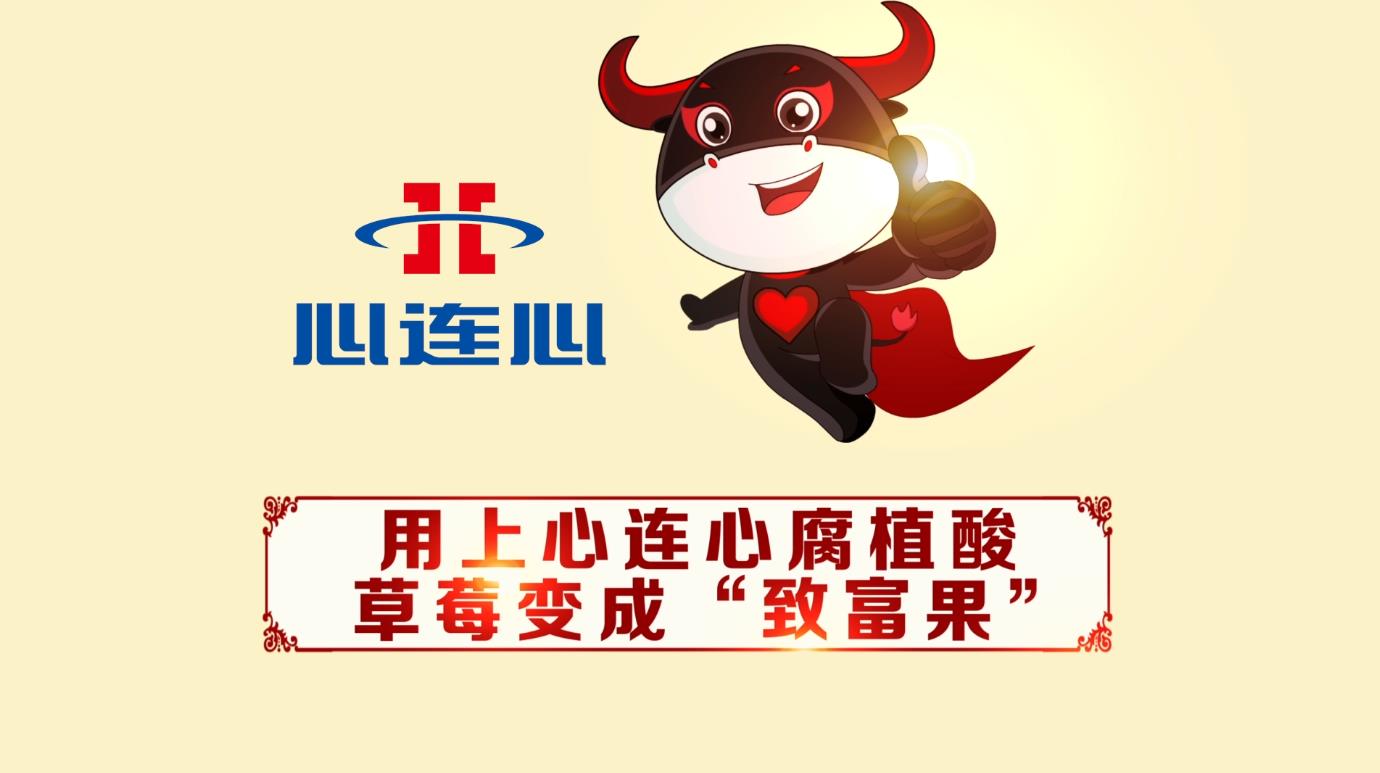 ���Ϲ����|����